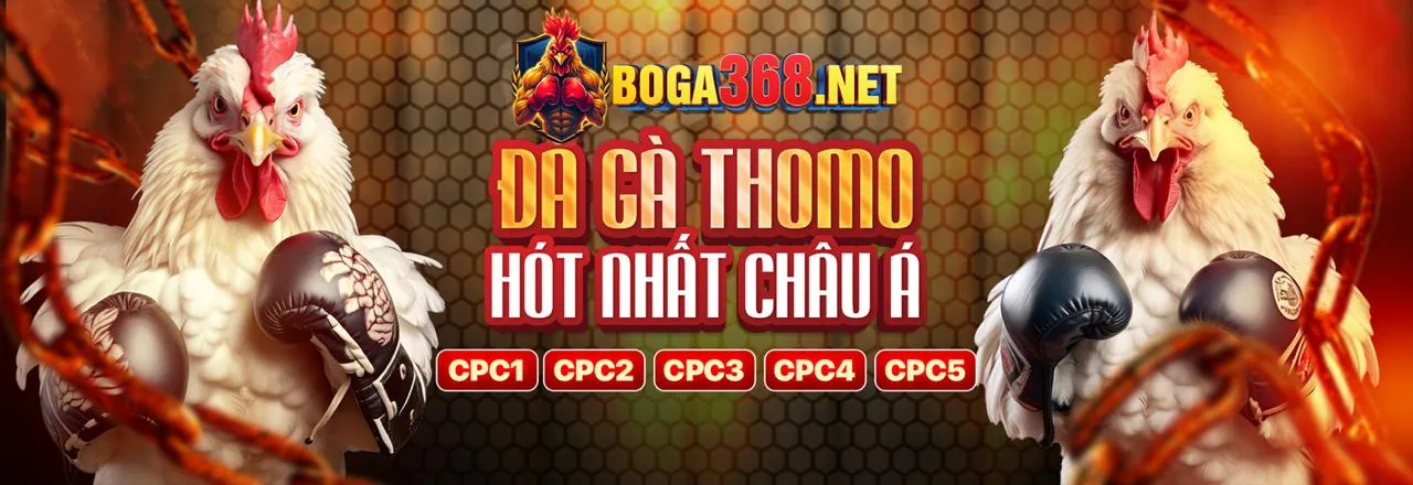 Đá gà trực tuyến kịch tính tại 8day8